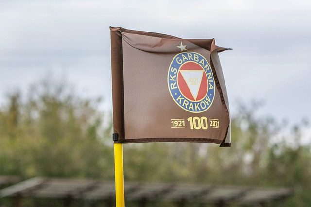 以便為陣容 以便為陣容