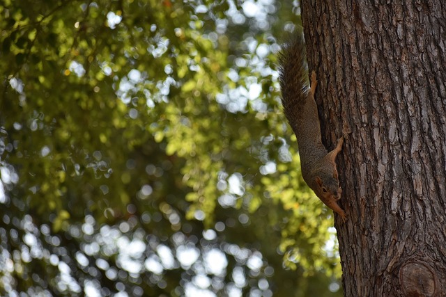 这使得他们 这使得他们