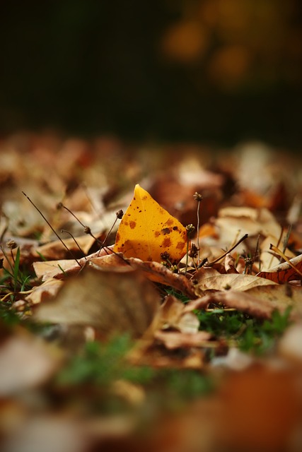 坚韧不拔的 坚韧不拔的