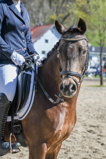 社会多方面 社会多方面