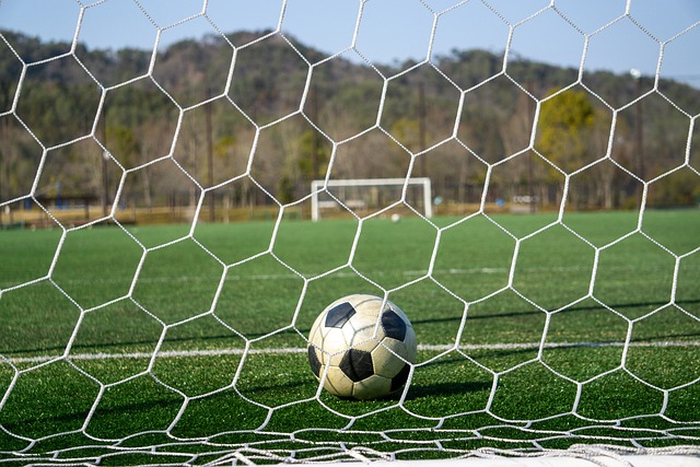 队员都发挥 队员都发挥