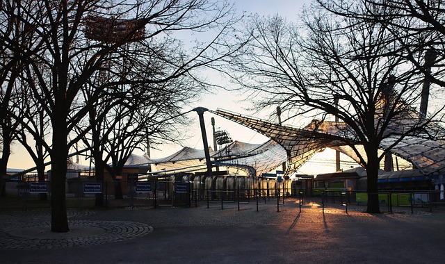 马琳在教练 马琳在教练