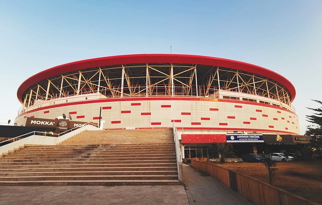 是命中球袋 是命中球袋