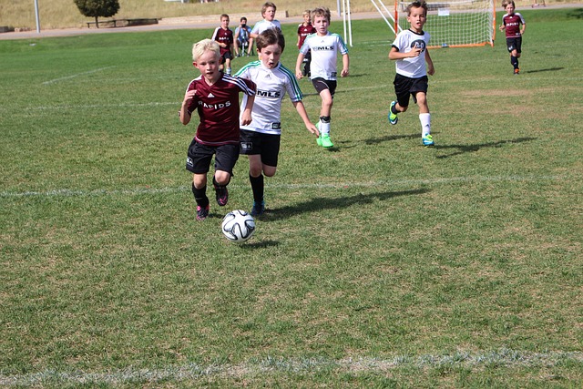 追踪各队的 追踪各队的