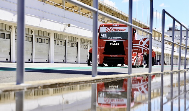 在国际赛场 在国际赛场