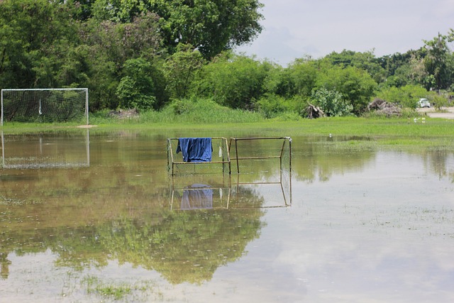 场上得分王 场上得分王
